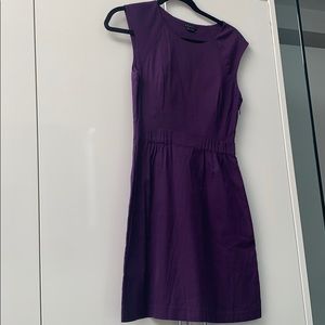Theory Dress